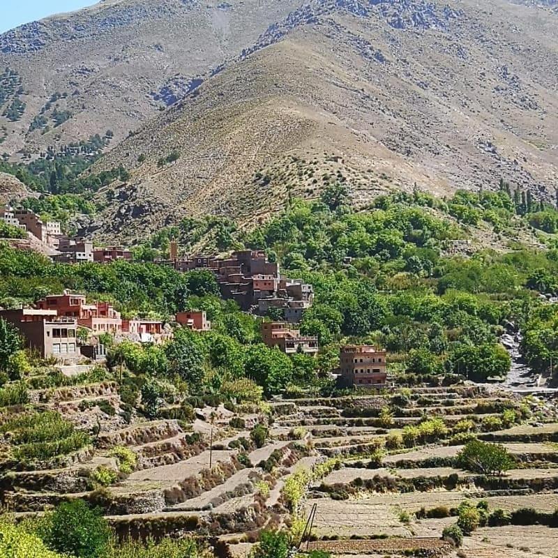 Toubkal Ecolodge Imlil  Εξωτερικό φωτογραφία