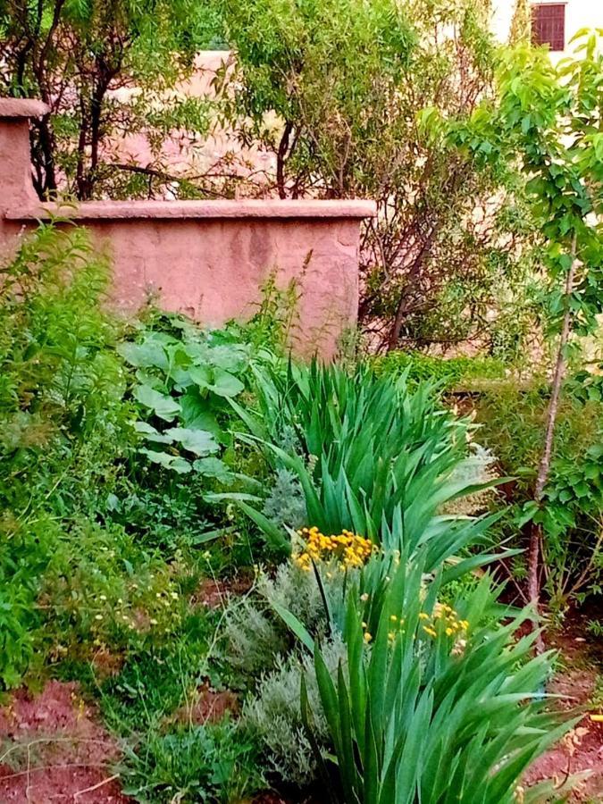 Toubkal Ecolodge Imlil  Εξωτερικό φωτογραφία