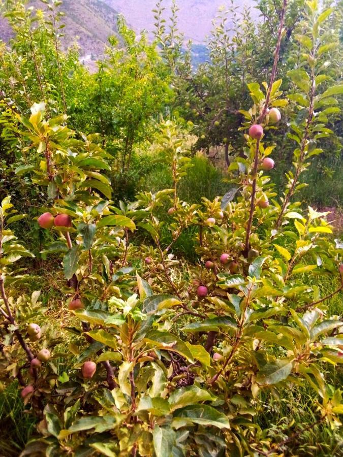 Toubkal Ecolodge Imlil  Εξωτερικό φωτογραφία