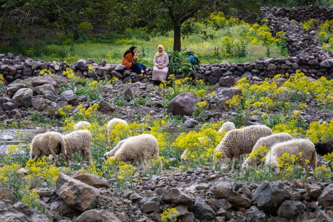 Toubkal Ecolodge Imlil  Εξωτερικό φωτογραφία